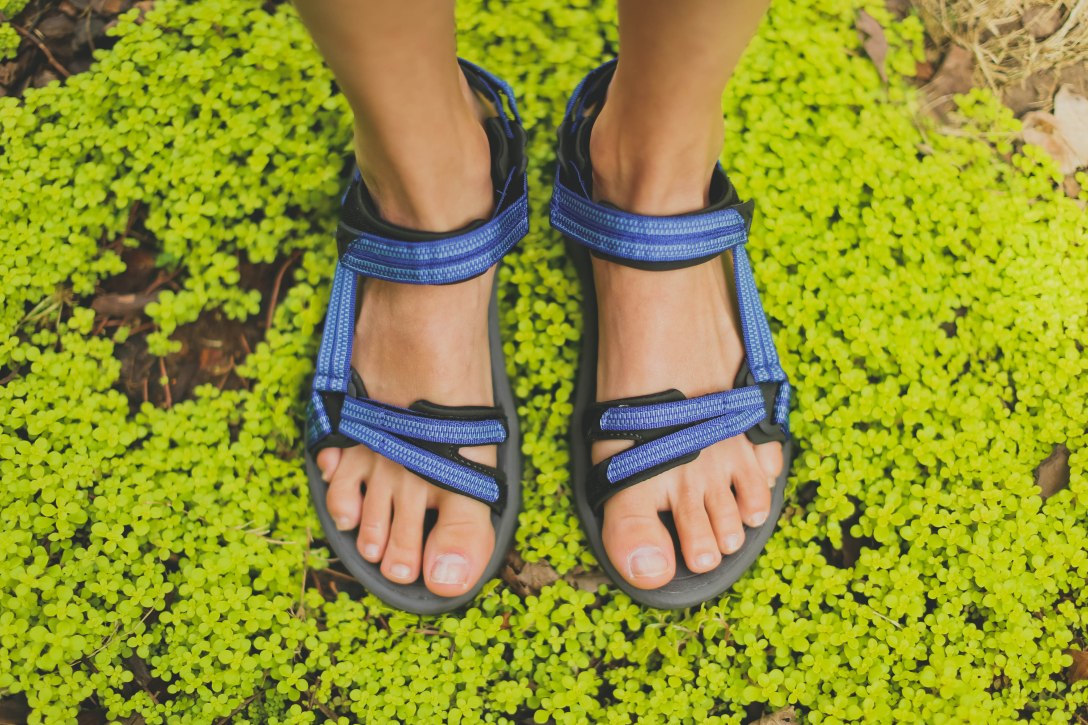 Review: Women's Terra Fi Lite Sandal – wildlycoyote